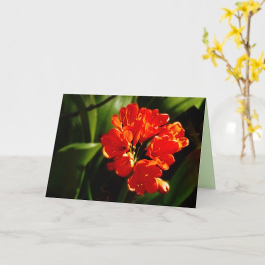 Levendige Oranje ventilator, Floral, blanco groet Kaart (Gele Bloem)