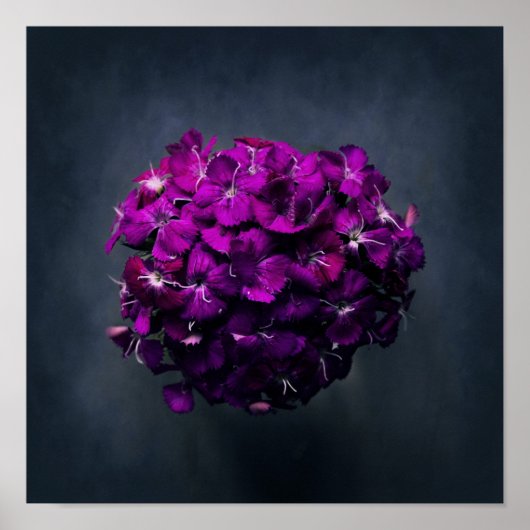 Levendige Paarse bloemenfoto Poster (Voorkant)