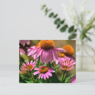 Levendige paarse coneflowers briefkaart