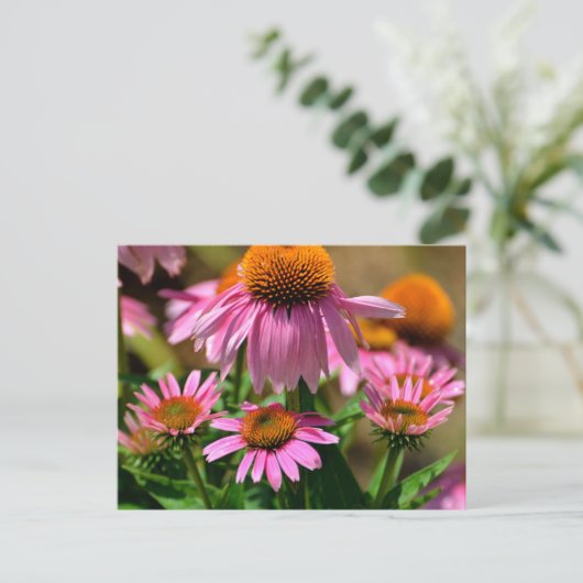 Levendige paarse coneflowers briefkaart (Staand voorkant)