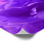 Levendige Paarse frambozenbloemen Poster (Hoek)