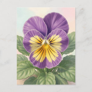 Levendige Paarse Gele Viooltje Bloem Botanisch Briefkaart
