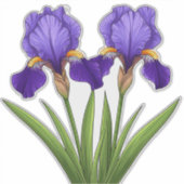 Levendige paarse irisbloemen met groene bladeren sticker (Voorkant)