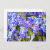 Levendige Paarse Irises in mei Briefkaart (Voorkant / Achterkant)