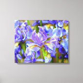 Levendige Paarse Irises in mei Canvas Afdruk (Voorkant)