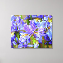 Levendige Paarse Irises in mei Canvas Afdruk