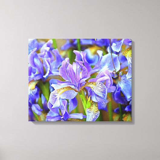 Levendige Paarse Irises in mei Canvas Afdruk (Voorkant)