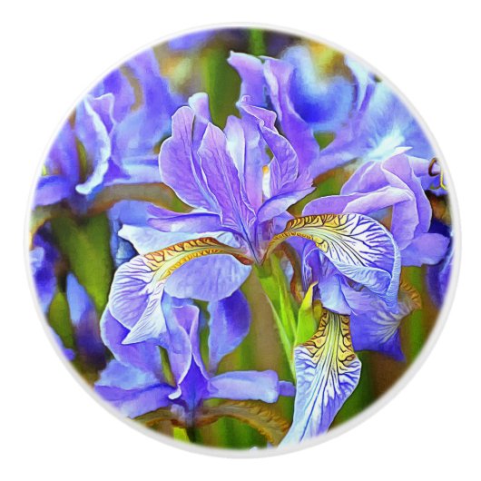 Levendige Paarse Irises in mei Keramische Knop (Voorkant)