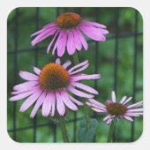 Levendige Paarse vuilnisbakkerij Vierkante Sticker (Voorkant)