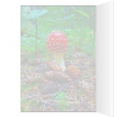 Levendige paddenstoel - 5-inch x 7-inch Art Kaart (Binnen (Links))