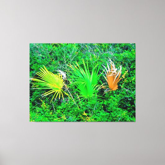 Levendige Palmbladeren Canvas Afdruk (Voorkant)