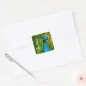 Levendige Pauw + Naam Helder Blauw Groene Veren Vierkante Sticker (Envelop)