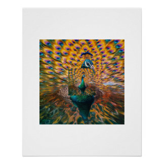 Levendige Pauw Waterreflectie Poster