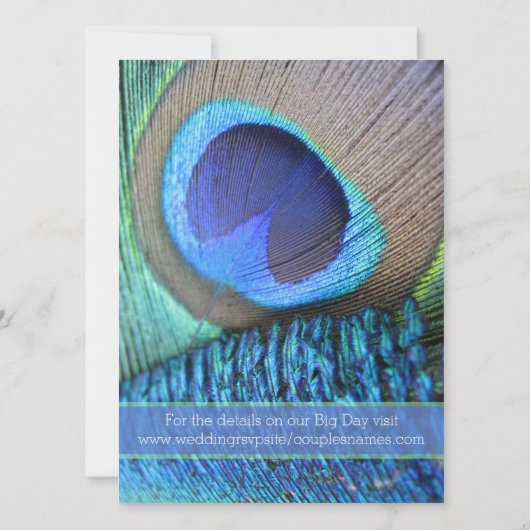 Levendige Peacock Feather Moderne uitnodiging (Achterkant)