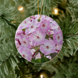 Levendige Phlox Bloei Botanische Bloem Keramisch Ornament