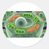 Levendige Plant cel Ronde Sticker (Voorkant)