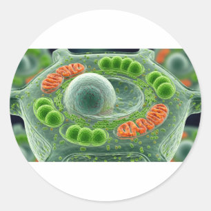 Levendige Plant cel Ronde Sticker
