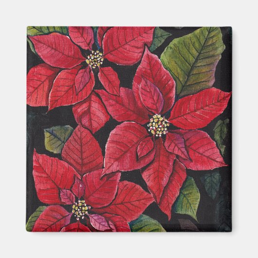 Levendige poinsettia in de Waterverf Magneet (Voorkant)