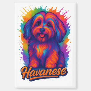Levendige Pop Art Havanese Hond – Kleurrijke Straa Magneet