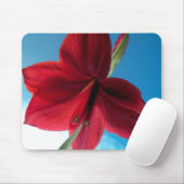 Levendige rode Amaryllis bloem Muismat (Met muis)