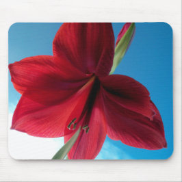 Levendige rode Amaryllis bloem Muismat