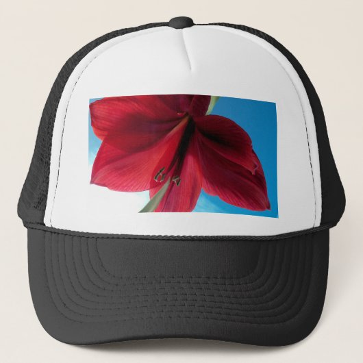 Levendige rode Amaryllis bloem Trucker Pet (Voorkant)