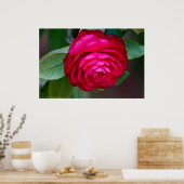 Levendige rode Camellia-Poster Poster (Keuken)