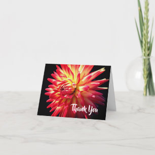 Levendige rode dahlia bloem bedankt 