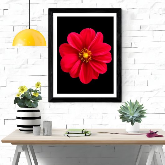 Levendige rode dahlia foto afdruk
