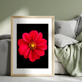 Levendige rode dahlia foto afdruk