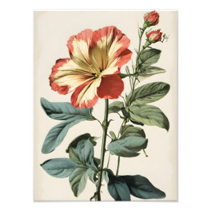 Levendige rode en gele Hibiscus Bloemen Schilderen Foto Afdruk