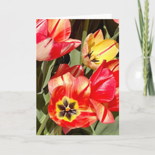 Levendige rode en gele tulp fotografie blanco kaart