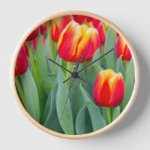Levendige rode en gele tulpen in de lentetuin (Voorkant)