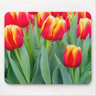 Levendige rode en gele tulpen in de lentetuin muismat