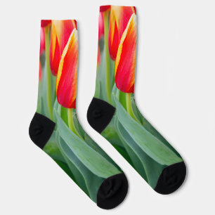 Levendige rode en gele tulpen in de lentetuin sokken