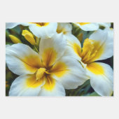 Levendige rode en witte lelies inpakpapier vel (Voorkant 3)