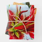 Levendige rode en witte lelies inpakpapier vel (In situ)