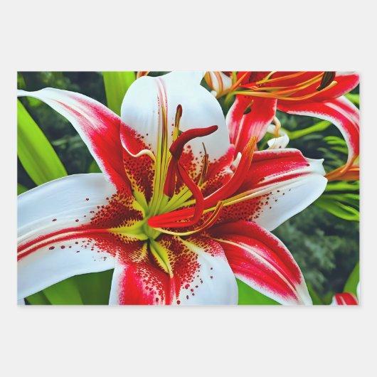 Levendige rode en witte lelies inpakpapier vel (Voorkant)