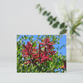Levendige rode Erythrina bloemen Briefkaart (Staand voorkant)