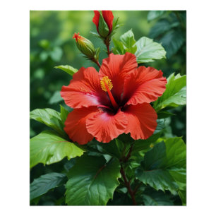 Levendige rode hibiscus bloem met bladeren-4369 perfect poster