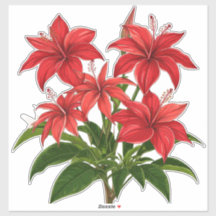 Levendige Rode Hibiscus Bloemboeket