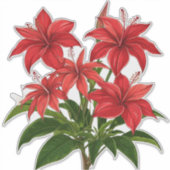 Levendige Rode Hibiscus Bloemboeket Sticker (Voorkant)