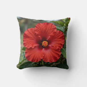 Levendige Rode Hibiscus Tropische Bloei Kussen