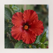 Levendige Rode Hibiscus Tropische Bloei Legpuzzel (Horizontaal)