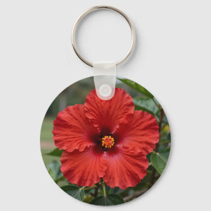 Levendige Rode Hibiscus Tropische Bloei Sleutelhanger