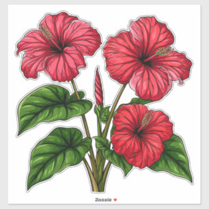 Levendige rode hibiscusbloemen met weelderig groen sticker
