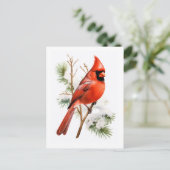 Levendige rode kardinaal in de winter - Vogel Groe Briefkaart (Staand voorkant)