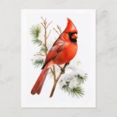 Levendige rode kardinaal in de winter - Vogel Groe Briefkaart (Voorkant)