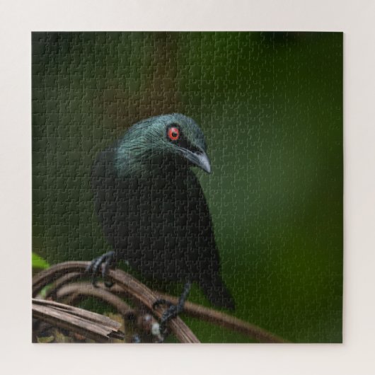 Levendige rode ogen van de Aziatische Glossy Starl Legpuzzel (Verticaal)
