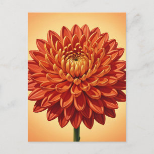 Levendige Rode Oranje Chrysanthemum Bloem Botanisc Briefkaart